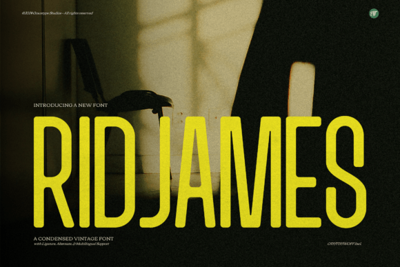 Ridjames: A Designer’s Real-World Type Audit