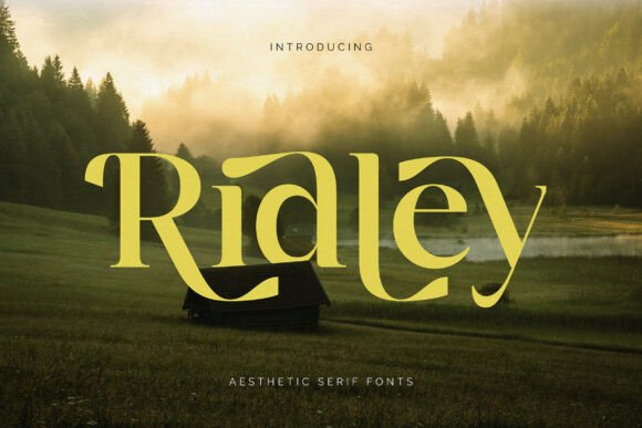 Ridley: A Serif Font That Makes Your Campaigns Instantly Clearer